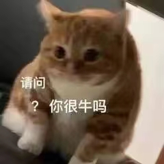 导出谷歌浏览器插件